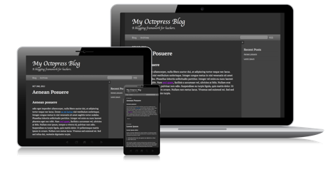 Octopress Image Responsive Blog